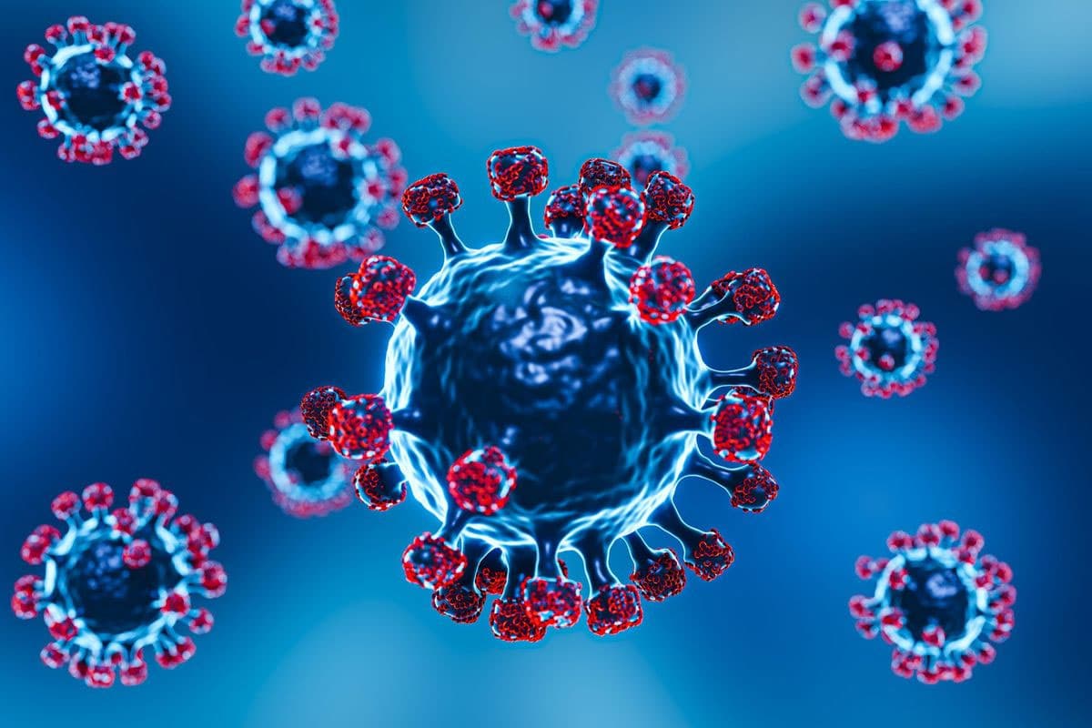 Virus Nipah, Penyakit Infeksi Emerging yang Menjadi Perhatian Global